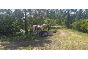 47310 BERMONT ROAD, PUNTA GORDA, FL 33982 Sold 02/21/25