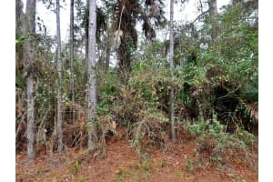 CAMEL AVE, NORTH PORT, FL 34287 - MLS#MFRC7499498