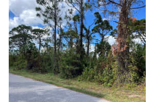12438 DEEPWOODS AVENUE, PORT CHARLOTTE, FL 33981 - MLS#MFRC7500283