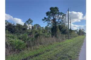 338 HYACINTH STREET, PORT CHARLOTTE, FL 33954 - MLS#MFRC7500318