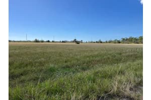 14401 SHEEPSHEAD DRIVE, PLACIDA, FL 33946 - MLS#MFRC7500350