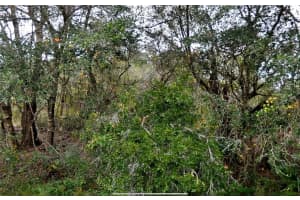 CONSTITUTION DR, NORTH PORT, FL 34291 Sold 10/16/25