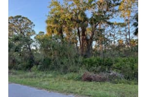 14103 CARRIE AVENUE, PORT CHARLOTTE, FL 33953 - MLS#MFRC7500464