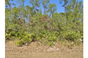 3219 BROOKLYN AVENUE, LAKE PLACID, FL 33852 Sold 01/07/25