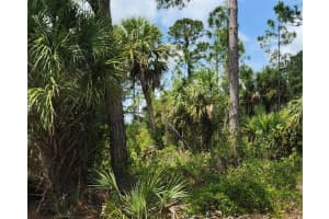 BASKET ST, NORTH PORT, FL 34288 - MLS#MFRC7500523