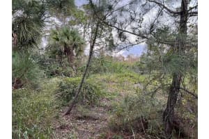GLACIER AVE, NORTH PORT, FL 34291 Sold 03/21/25