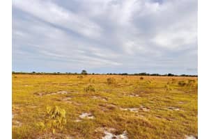 47511 NEAL ROAD, PUNTA GORDA, FL 33982 - MLS#MFRC7500669