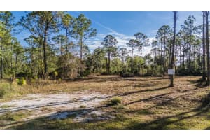 13352 BAMBI TERRACE, PUNTA GORDA, FL 33955 - MLS#MFRC7500710