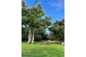 713 MILLS AVENUE, ARCADIA, FL 34266 Sold 05/09/25