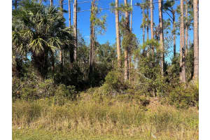GLORDANO AVE, NORTH PORT, FL 34286 Sold 06/24/25