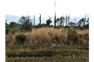 EWEN CIR, NORTH PORT, FL 34288 - MLS#MFRC7501981