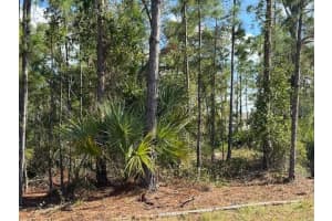 142 ALGONQUIN STREET, PORT CHARLOTTE, FL 33954 - MLS#MFRC7502141