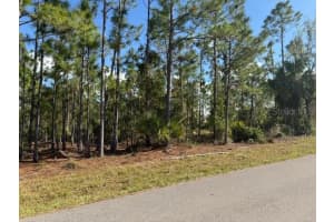 142 ALGONQUIN STREET, PORT CHARLOTTE, FL 33954 - MLS#MFRC7502141