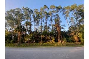14TH, NAPLES, FL 34117 - MLS#MFRC7502495