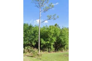 23509 BRANCH AVENUE, PUNTA GORDA, FL 33980 - MLS#MFRC7502582