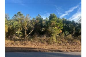 Lot #13 and #14 SERNICE STREET, NORTH PORT, FL 34288 Sold 01/28/25