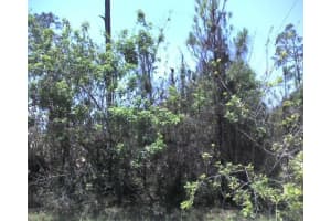 2169 AMSTEAD ST, PORT CHARLOTTE, FL 33980 Sold 02/05/25