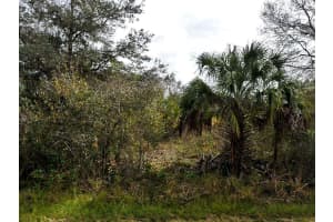 COLLEGE TER, NORTH PORT, FL 34291 Sold 02/03/25