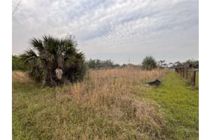 31083 PEACE STREET, PUNTA GORDA, FL 33982 - MLS#MFRC7503095