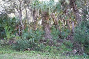 14299 CANNELL LANE, PORT CHARLOTTE, FL 33953 - MLS#MFRC7503190