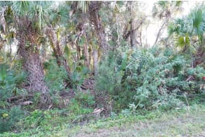 14299 CANNELL LANE, PORT CHARLOTTE, FL 33953 - MLS#MFRC7503190