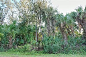 14299 CANNELL LANE, PORT CHARLOTTE, FL 33953 - MLS#MFRC7503190