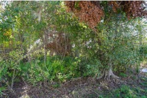 23255 STELLING AVENUE, PORT CHARLOTTE, FL 33980 Sold 04/28/25