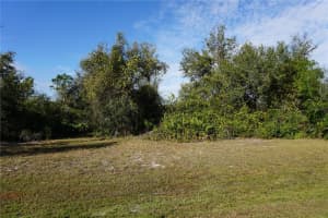323 HIRAM STREET, PUNTA GORDA, FL 33982 - MLS#MFRC7503448