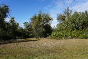323 HIRAM STREET, PUNTA GORDA, FL 33982 - MLS#MFRC7503448