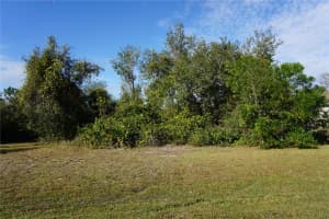 323 HIRAM STREET, PUNTA GORDA, FL 33982 - MLS#MFRC7503448