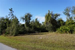 323 HIRAM STREET, PUNTA GORDA, FL 33982 - MLS#MFRC7503448