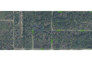 1945 GRIESE ROAD, AVON PARK, FL 33825 Sold 04/07/25