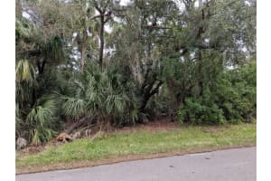 22438 BLANCHARD AVENUE, PORT CHARLOTTE, FL 33952 - MLS#MFRC7503521