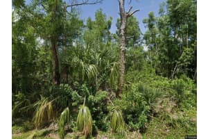 28210 TWIN LAKES DRIVE, PUNTA GORDA, FL 33955 - MLS#MFRC7503848