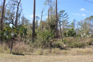 137 BRIG CIRCLE, PLACIDA, FL 33946 - MLS#MFRC7504204