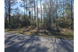 1095 MELVILLE ROAD, PUNTA GORDA, FL 33983 - MLS#MFRC7504241