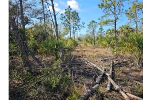 1095 MELVILLE ROAD, PUNTA GORDA, FL 33983 - MLS#MFRC7504241