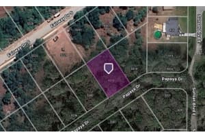 5310 PAPAYA DRIVE, PUNTA GORDA, FL 33982 - MLS#MFRC7504296