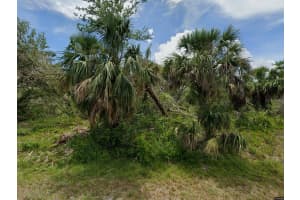 2195 SEWARD STREET, PORT CHARLOTTE, FL 33953 Sold 09/04/25