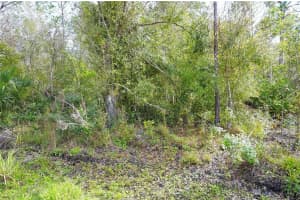 23447 CORINNE AVENUE, PUNTA GORDA, FL 33980 Sold 05/09/25