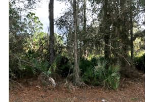 CASCABEL LOT #6 TER, NORTH PORT, FL 34286 Sold 04/25/25