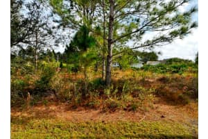 CORDOVA TER, NORTH PORT, FL 34291 - MLS#MFRC7504532