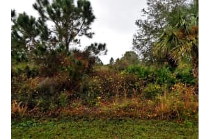 LENAPE LN, NORTH PORT, FL 34291 - MLS#MFRC7504538