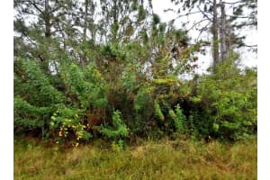 FLORIDA TER, NORTH PORT, FL 34291 Sold 02/18/26