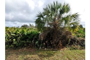 CALLAGHAN LN, NORTH PORT, FL 34291 - MLS#MFRC7504542