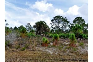 ARMOUR TER, NORTH PORT, FL 34291 Sold 06/04/25