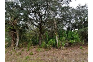 TOTEM AVE, NORTH PORT, FL 34291 - MLS#MFRC7504551