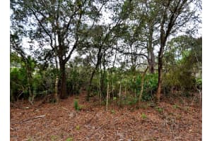 MANTHEY AVE, NORTH PORT, FL 34291 Sold 09/05/25