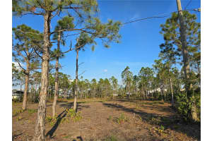 8462 ALFRED BOULEVARD, PUNTA GORDA, FL 33982 Sold 03/04/25