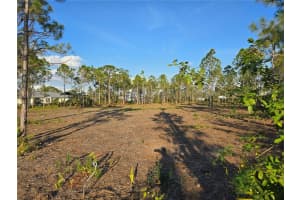 8462 ALFRED BOULEVARD, PUNTA GORDA, FL 33982 Sold 03/04/25